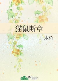 貓鼠斷章
